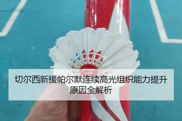 切尔西新援帕尔默连续高光组织能力提升原因全解析（huaqiuapp）